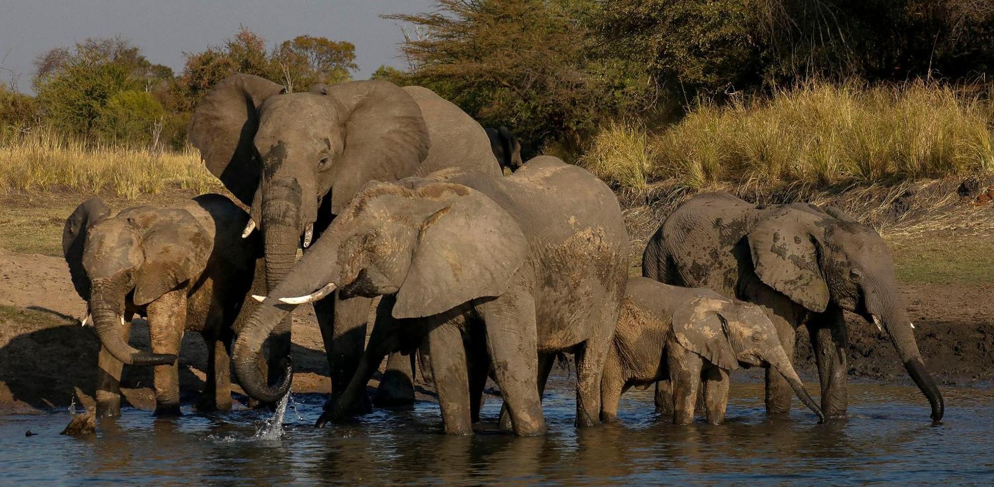 فيلا Zambezi Dusk ليفينغستون المظهر الخارجي الصورة